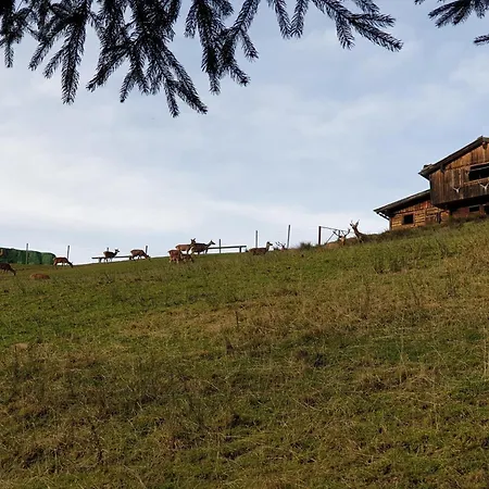Sonnenhuette Unten Hopfgarten im Brixental